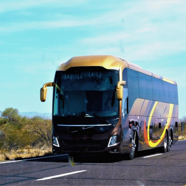 Buses